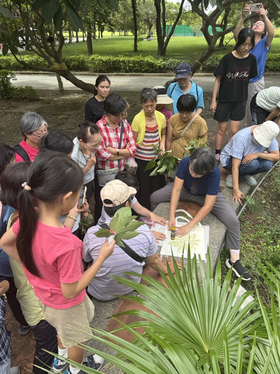 植物移印工作坊 - 創作成果展示